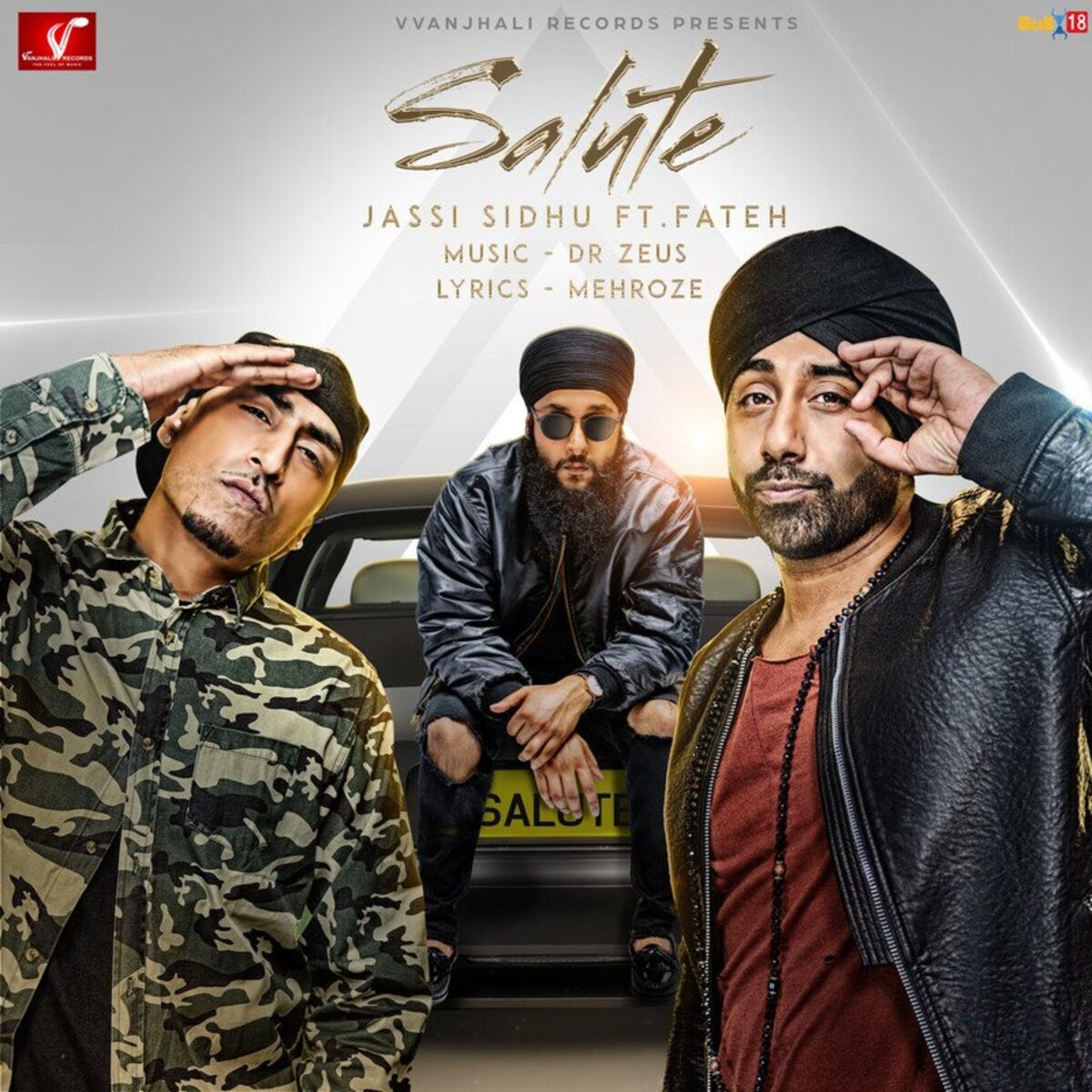 Album cover of Salute