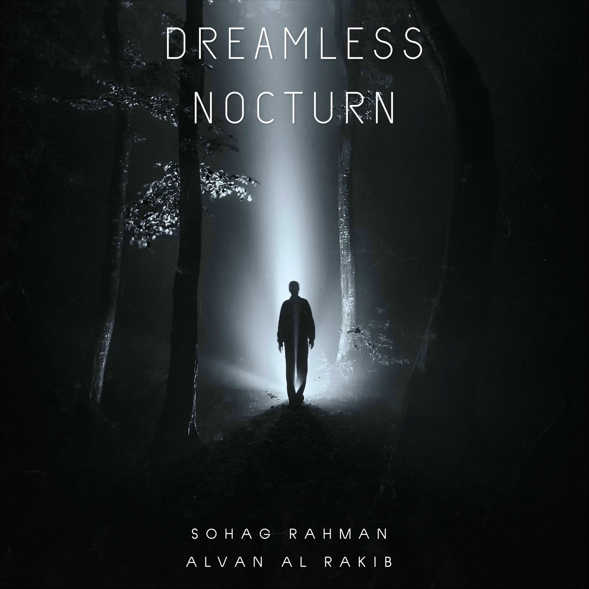 Album cover of Dreamless Nocturn (feat. Alvan Al Rakib)