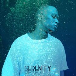 Cover of Serenity