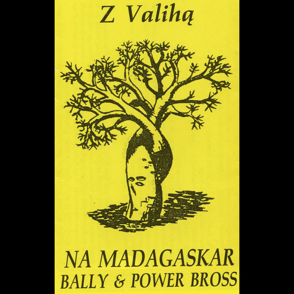 Picture of Z Valiha na Madagaskar