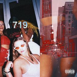 Cover of 719 (Deluxe)