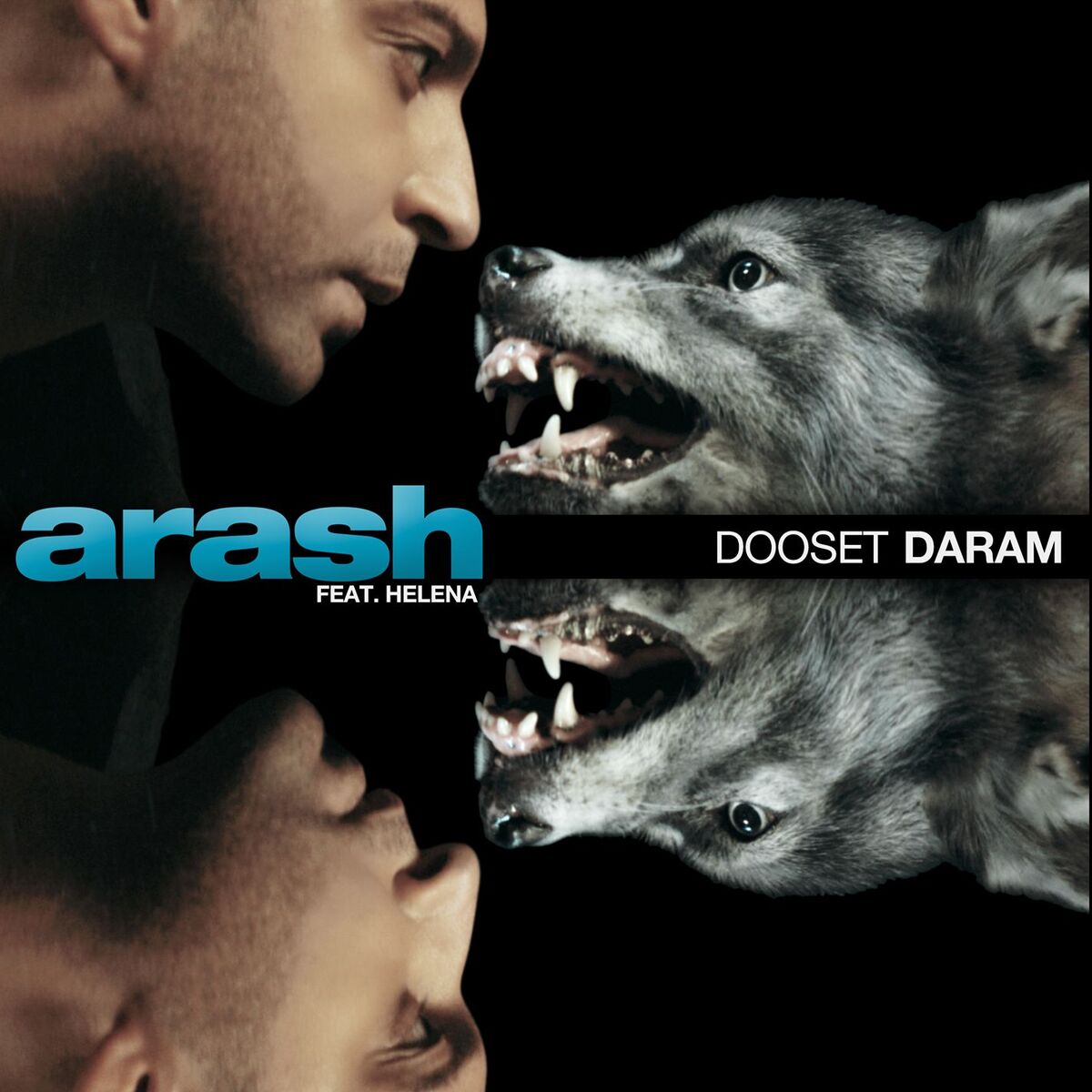 Album cover of Dooset Daram (feat. Helena)