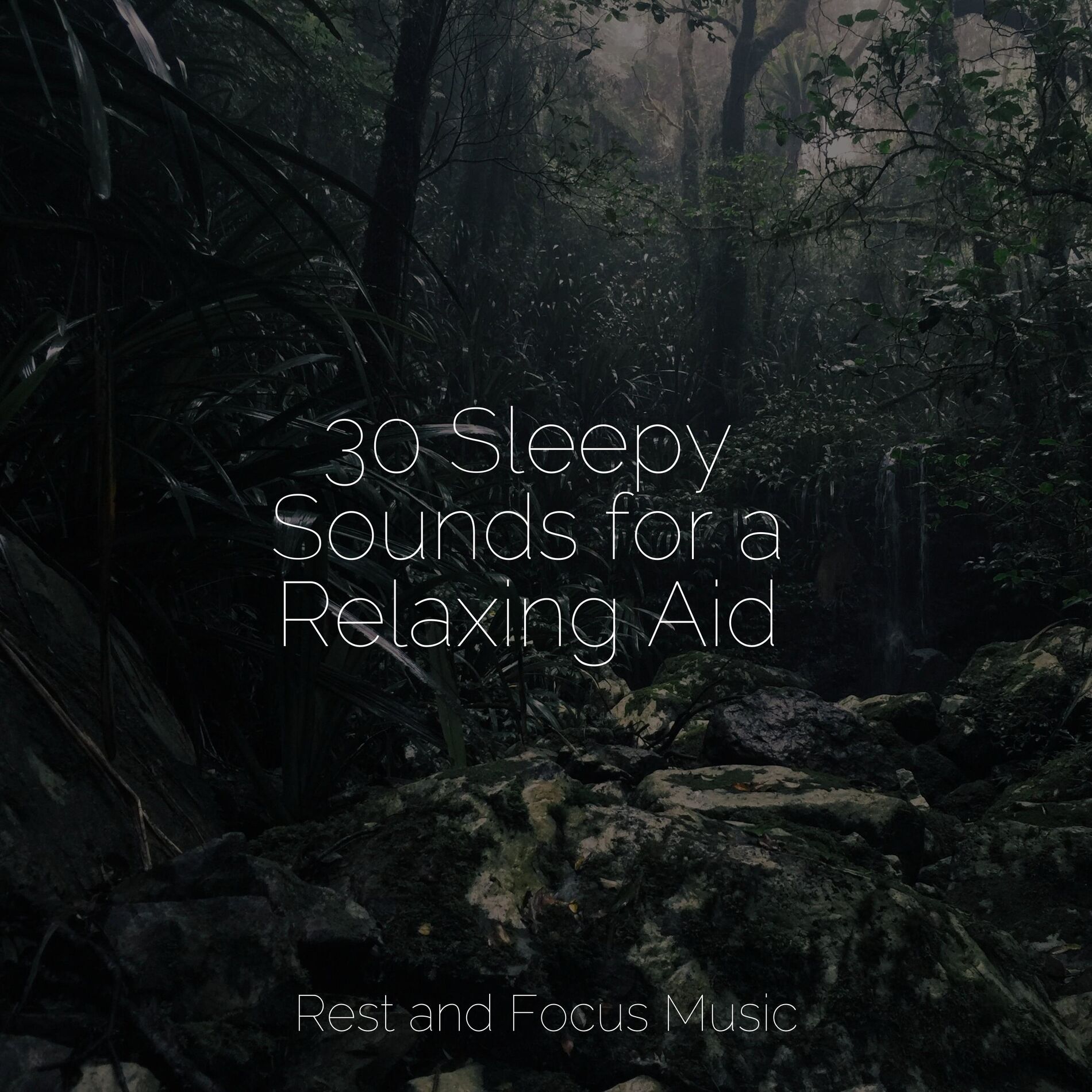 Album cover of Sleep Sounds of Nature | Zen Spa