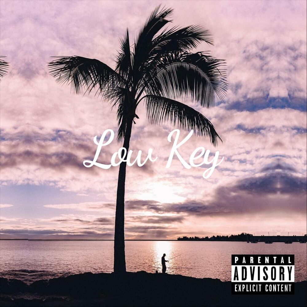 Picture of Low Key
