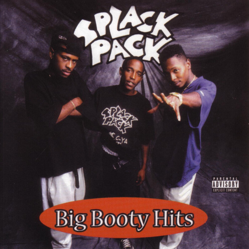 Picture of Big Booty Hits