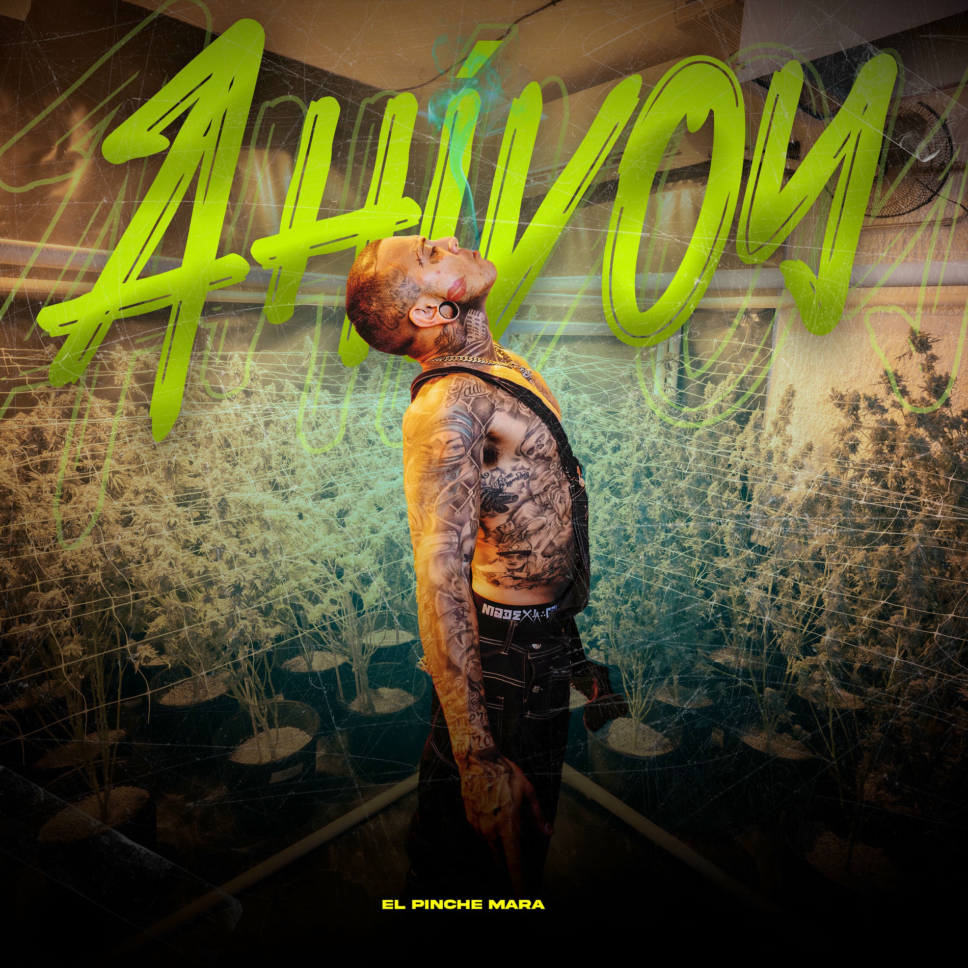 Album cover of Ahi voy