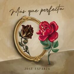 Cover of Más Que Perfecta