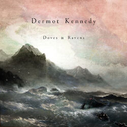 Cover of Doves & Ravens