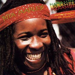 Cover of Harambe