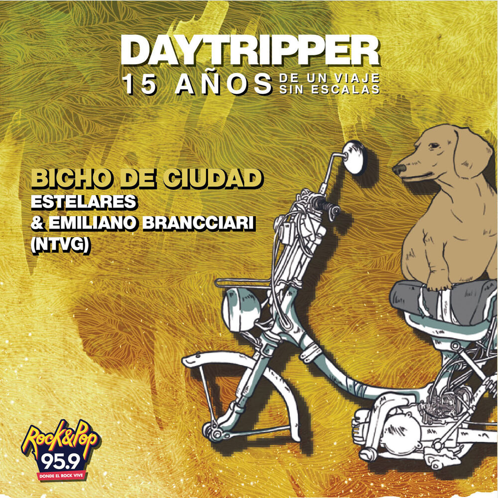 Picture of Bicho de Ciudad