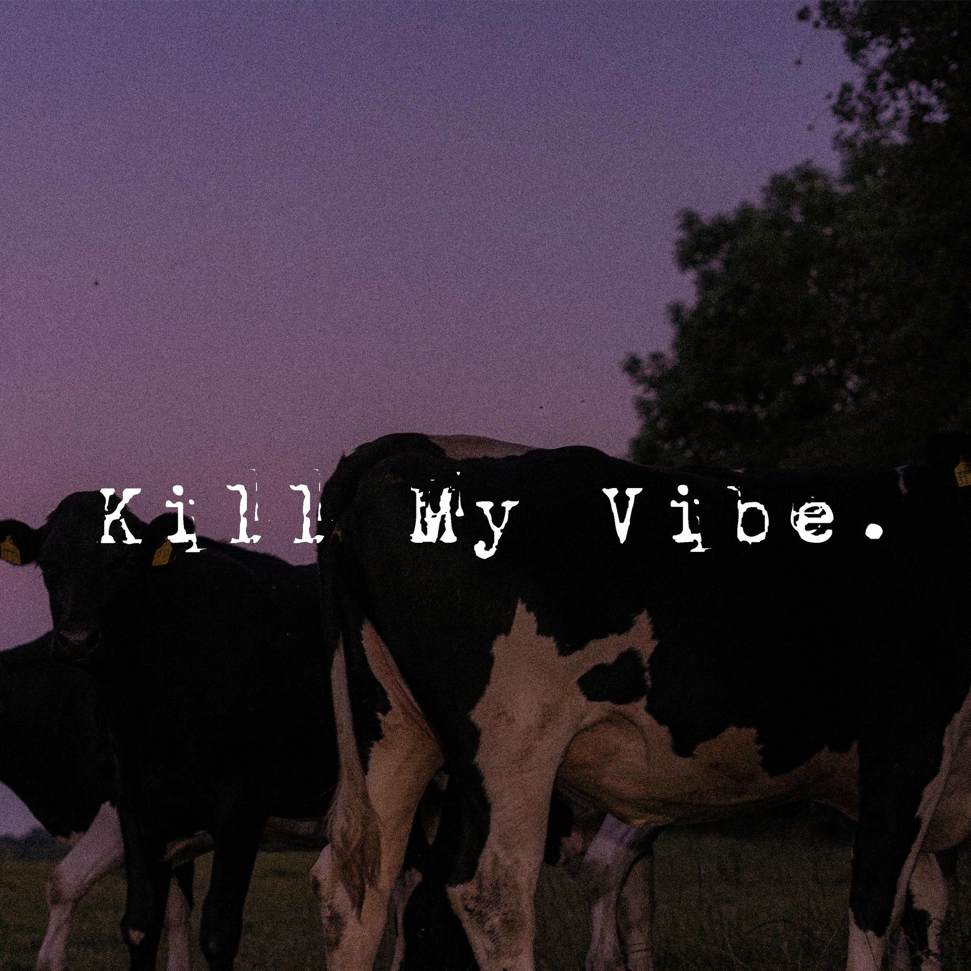 Album cover of Kill My Vibe