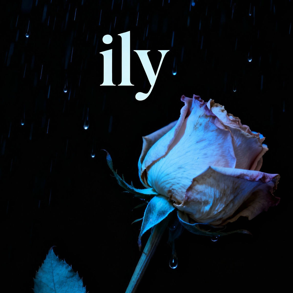 Album cover of ily