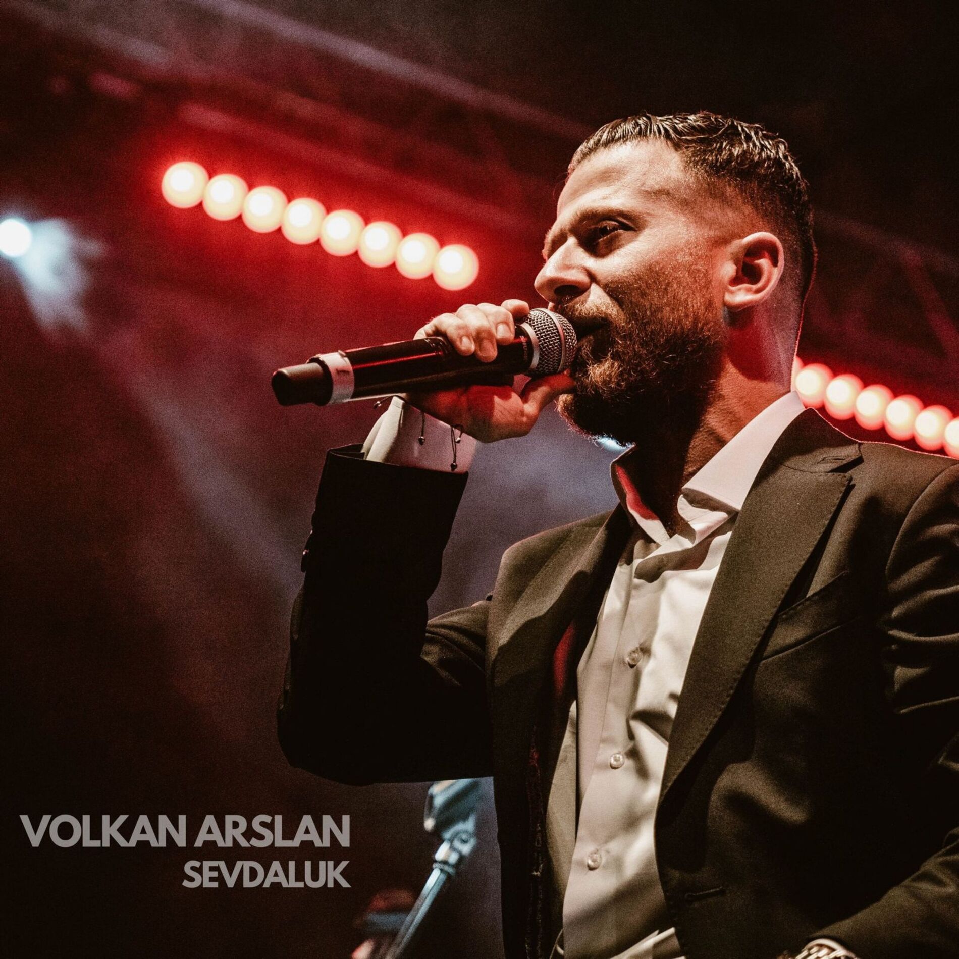 Album cover of Sevdaluk