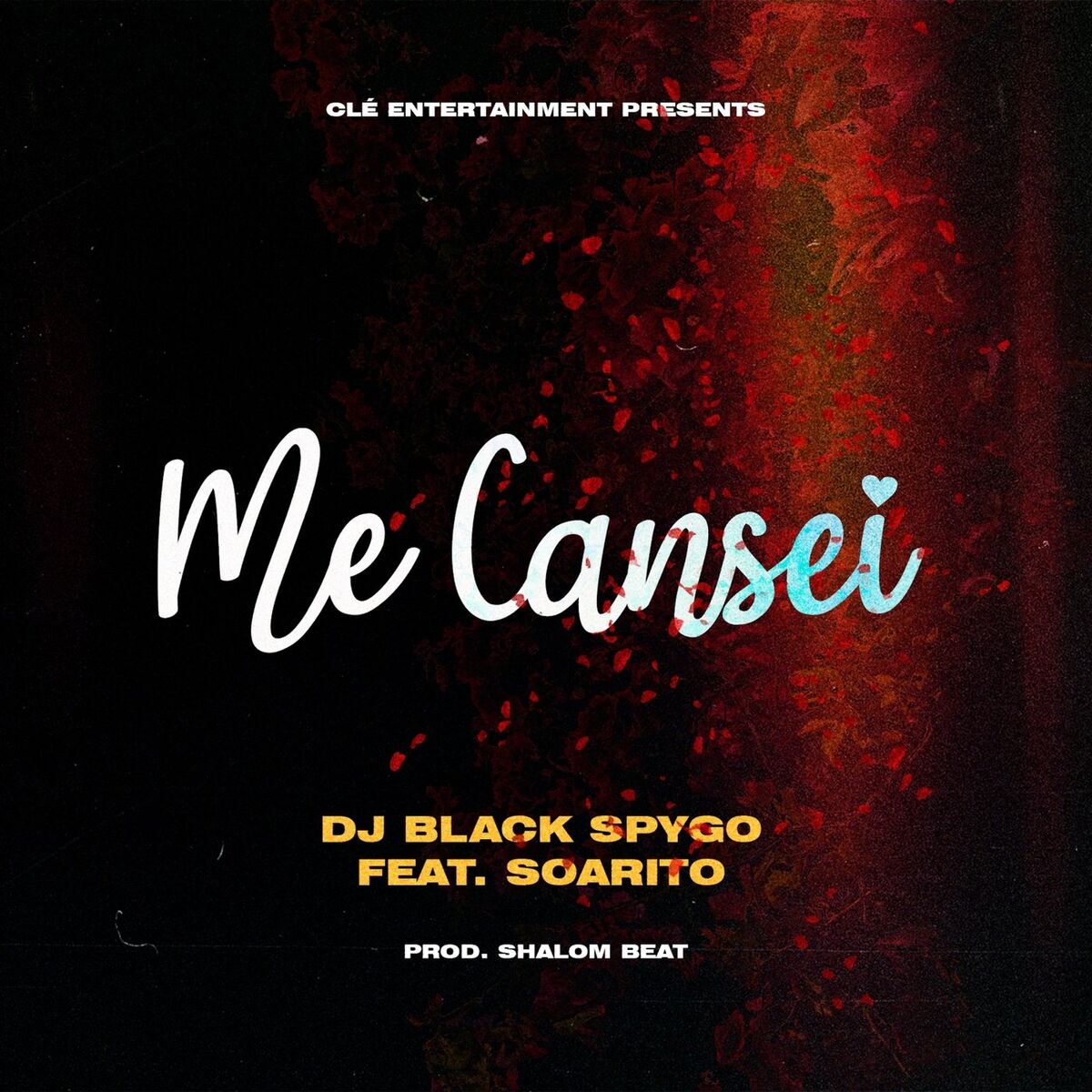 Album cover of Me Cansei