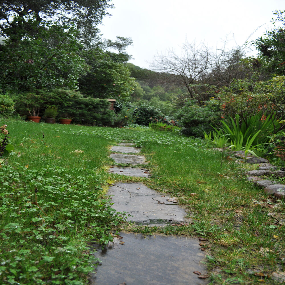 Picture of EP #4 (DWA/LAT years)