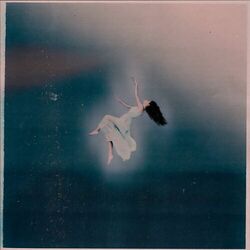 Cover of Sin Miedo