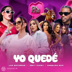 Cover of YO QUEDÉ
