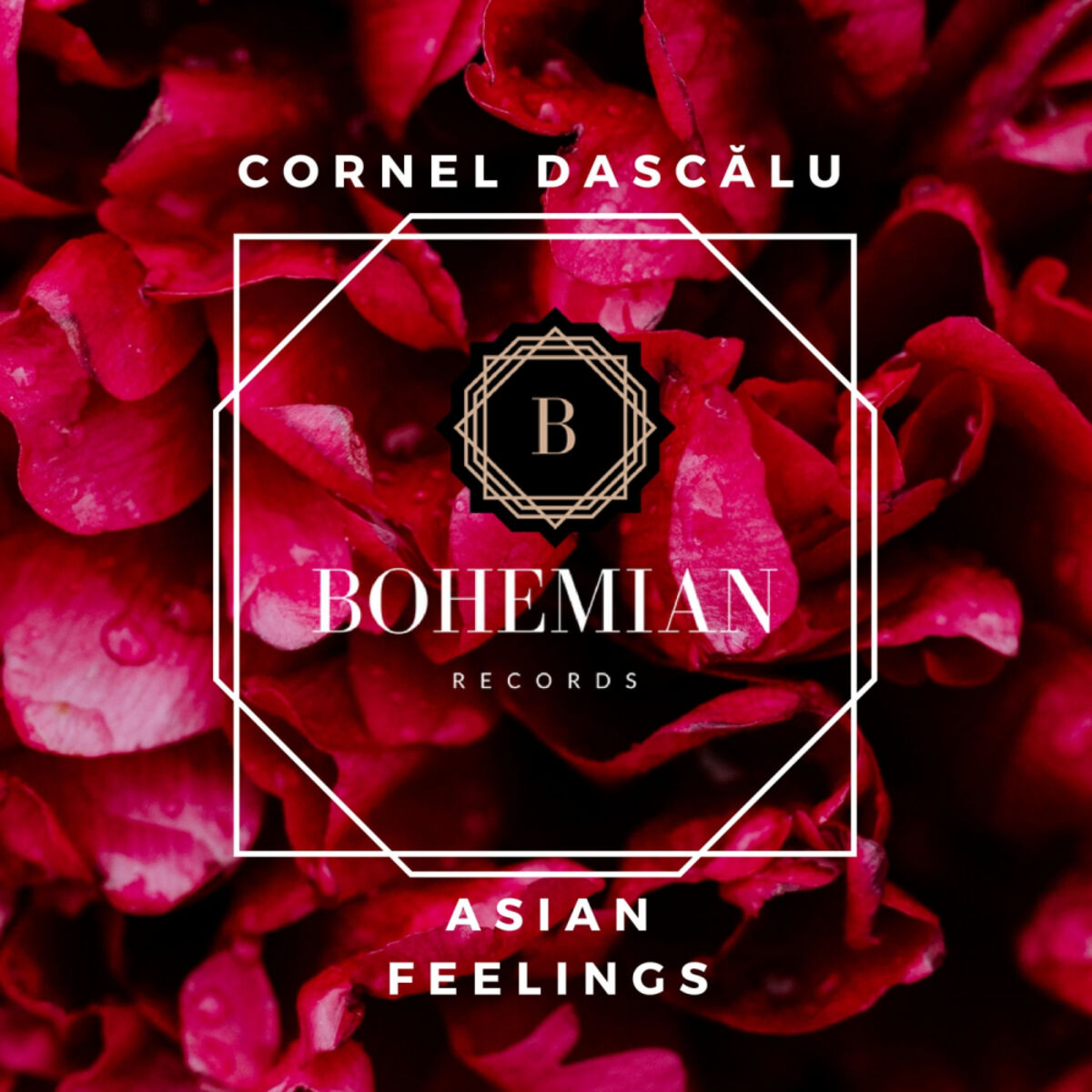 Album cover of Asian Feelings