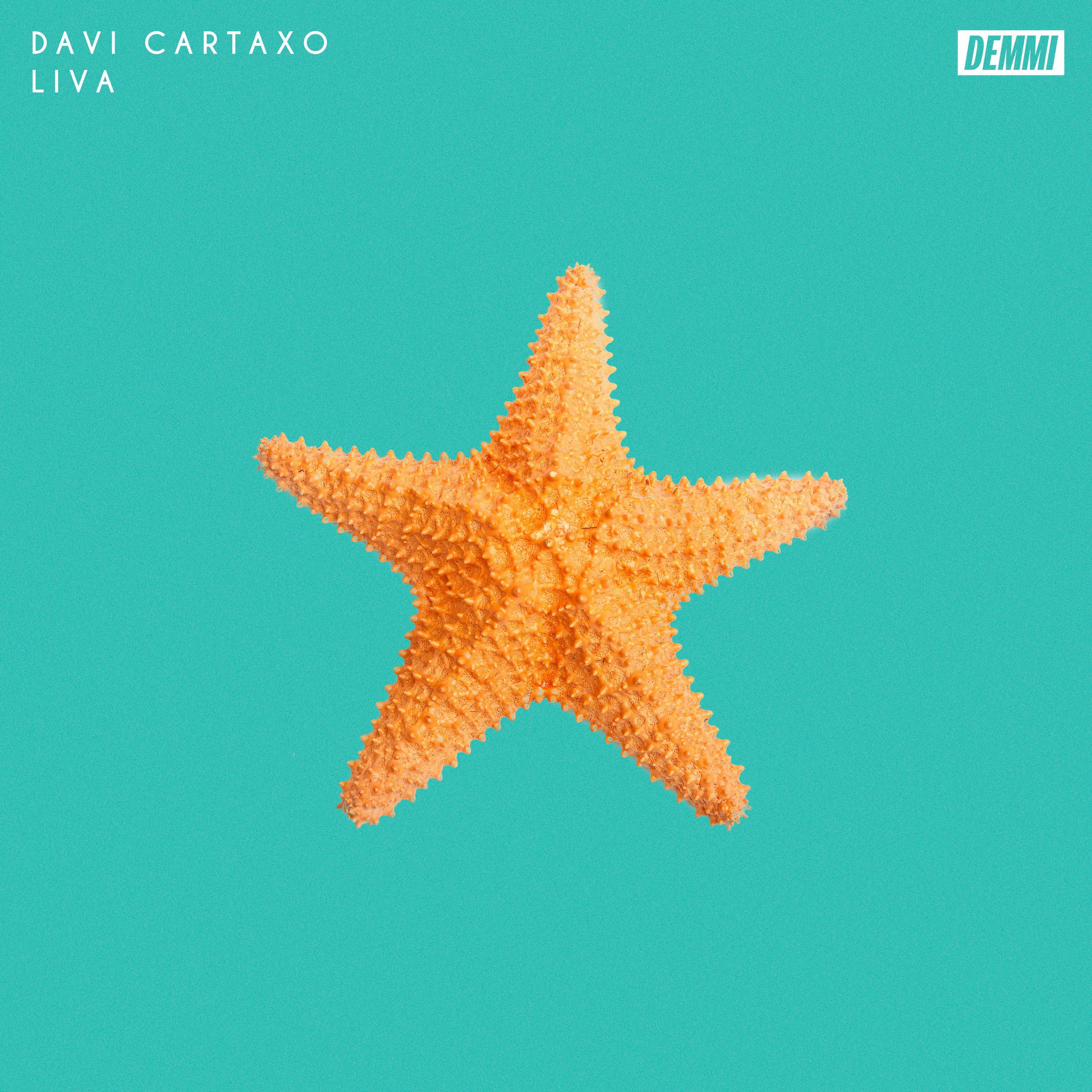 Album cover of Estrela do Mar