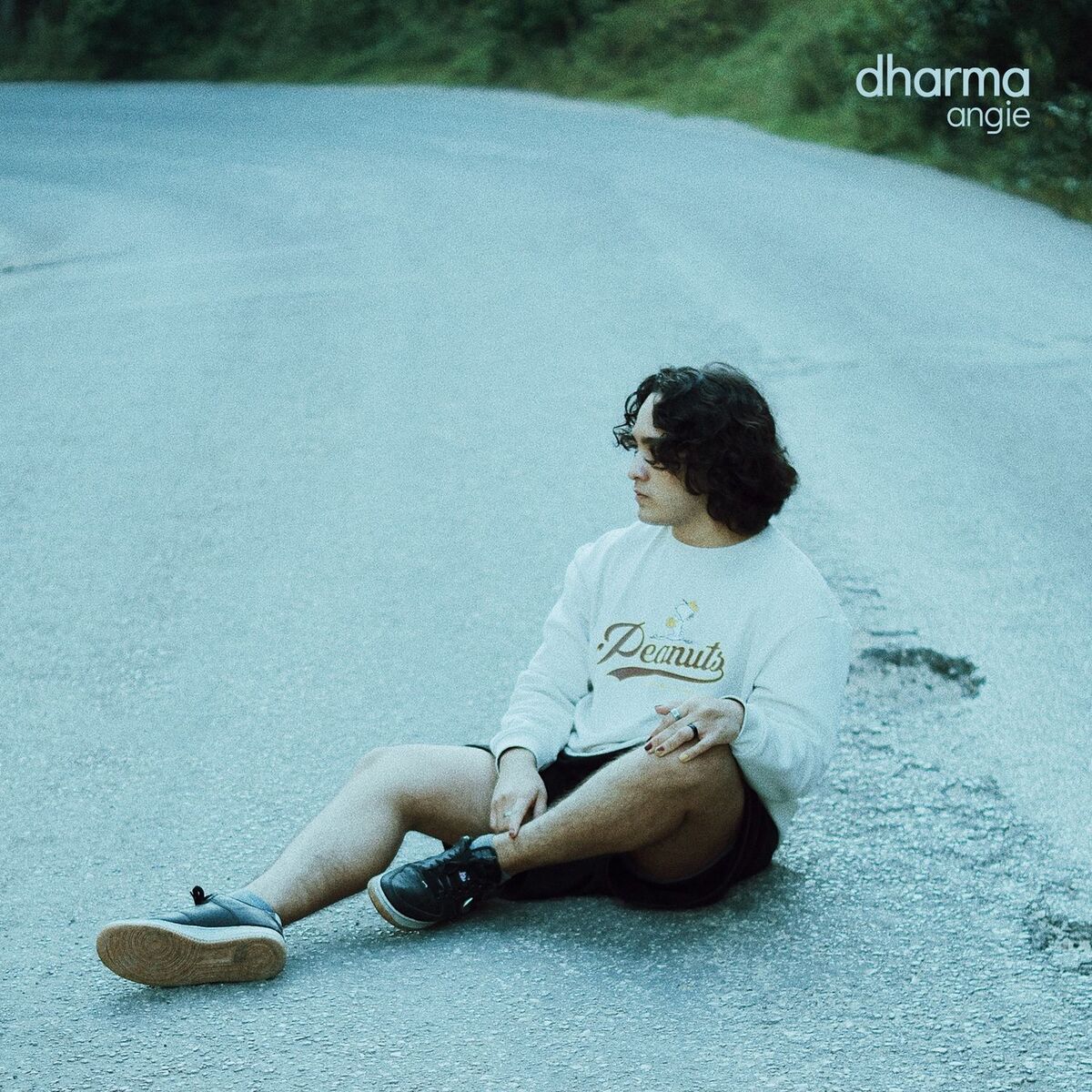 Album cover of Dharma
