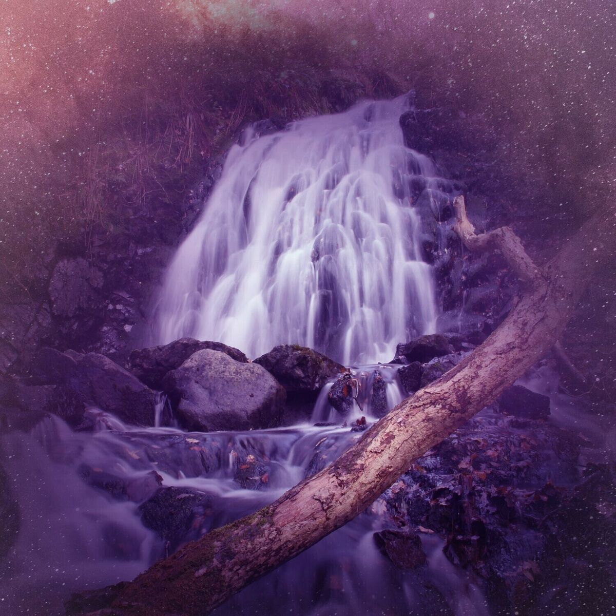 Album cover of Whisperer Feelings