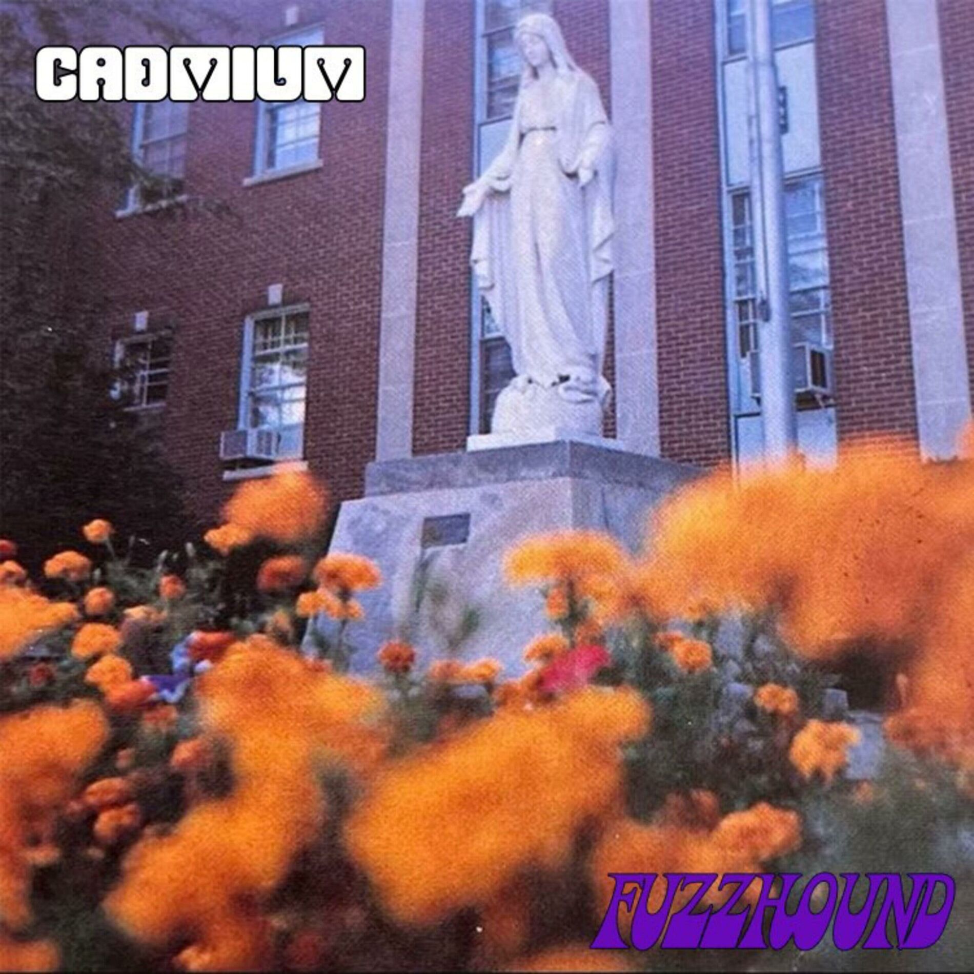 Album cover of Fuzzhound