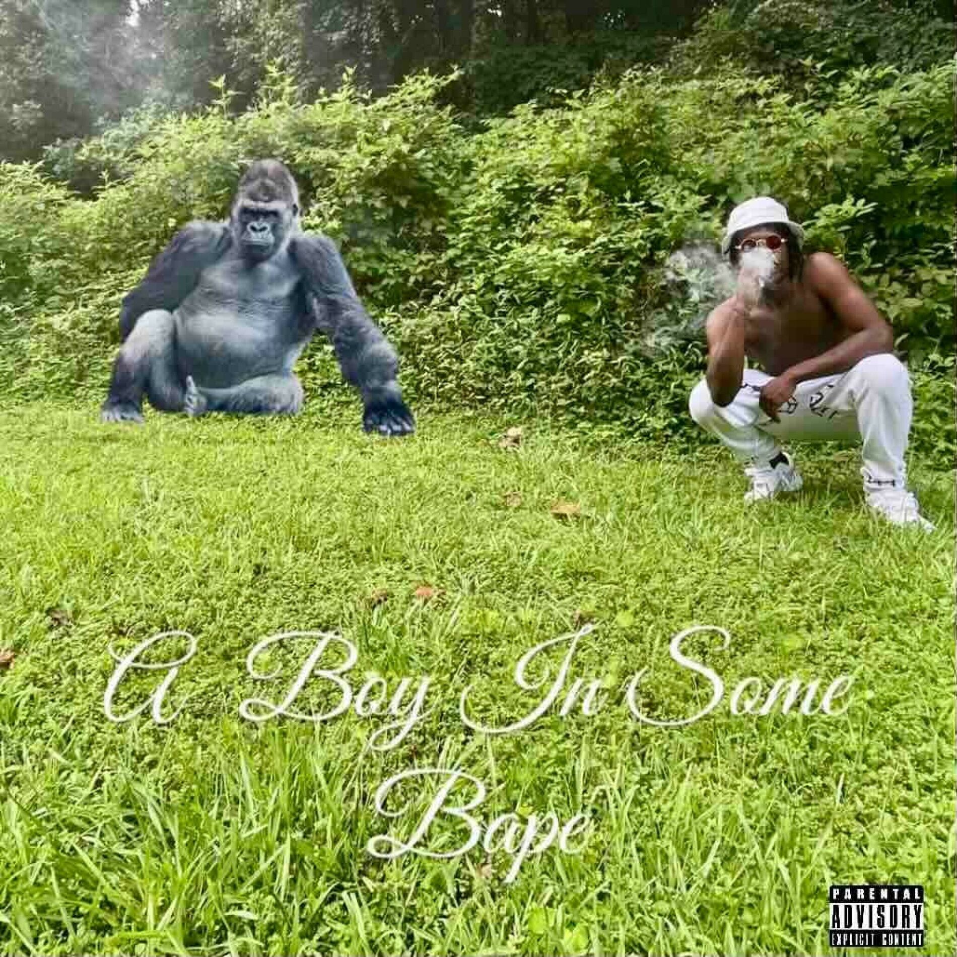 Album cover of A Boy in some Bape