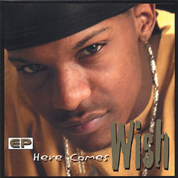 Cover of Here Comes Wish