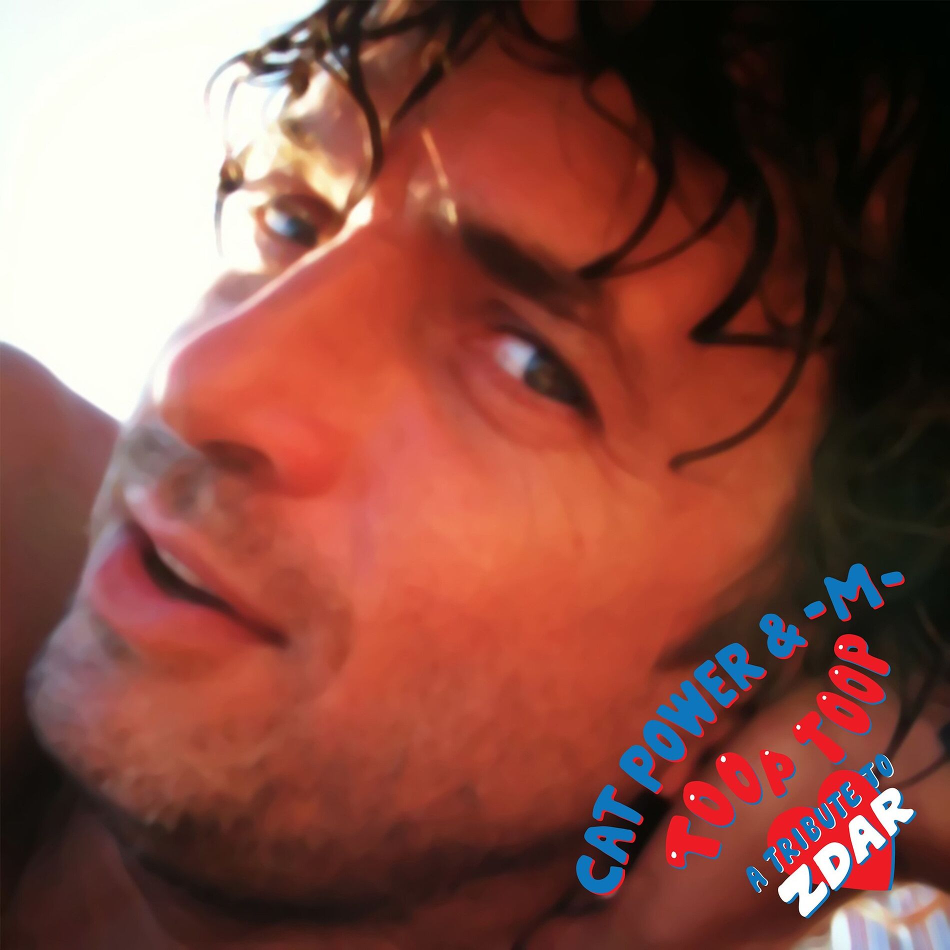 Album picture of Toop Toop (A Tribute to Zdar)