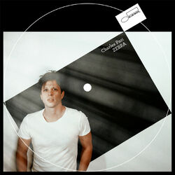 Cover of Zebra