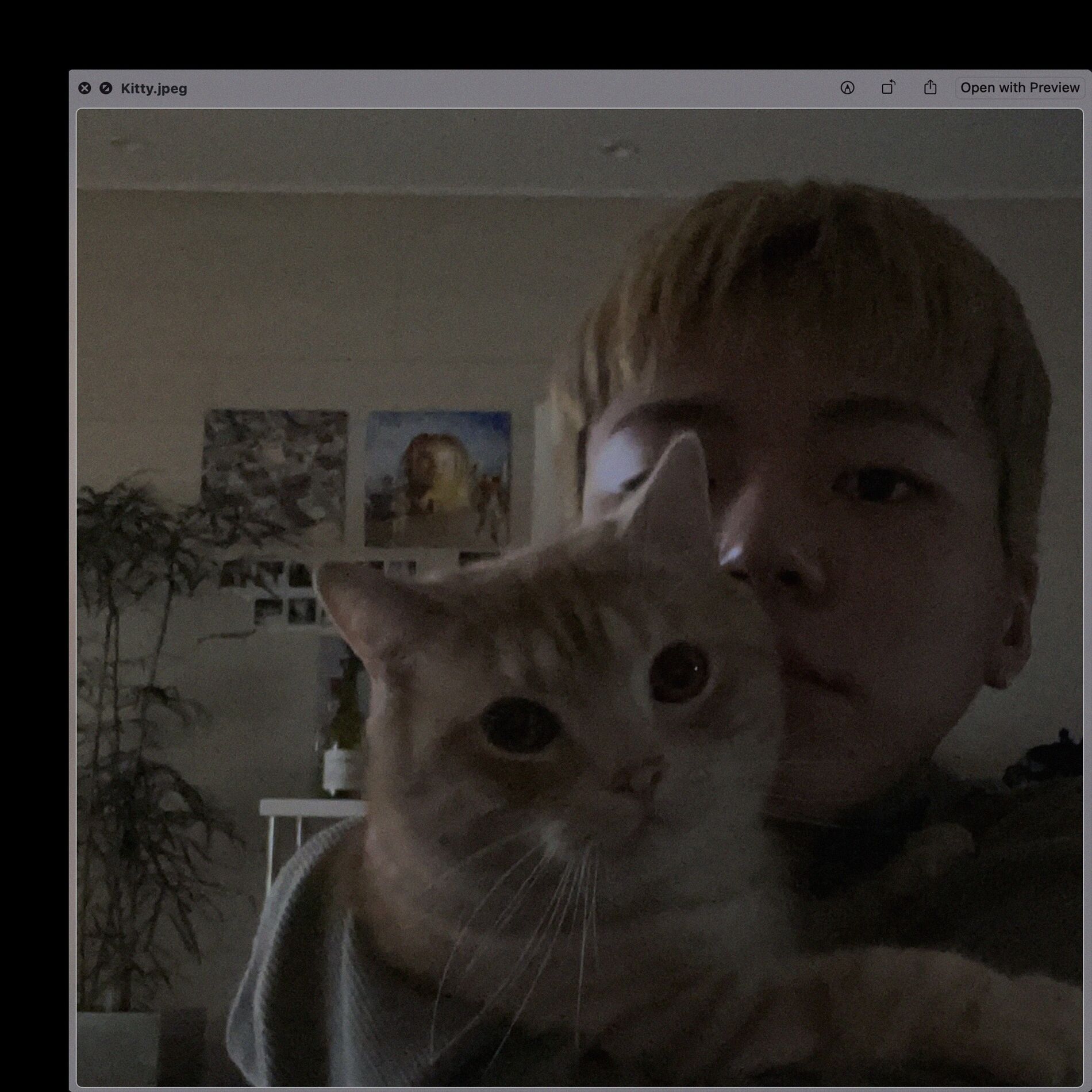 Album cover of Kitty (Feat. MIYEON ((G)I-DLE)