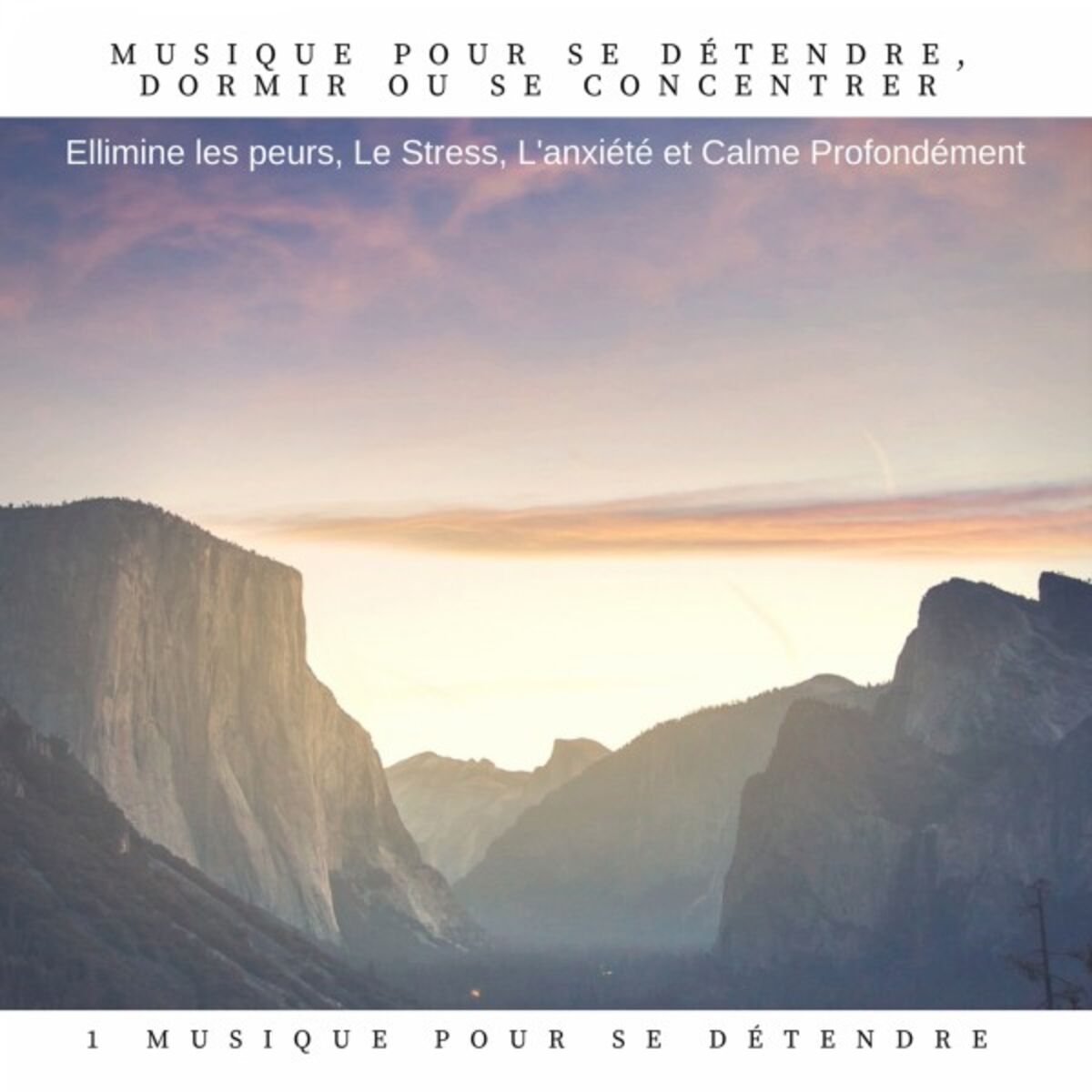 Album cover of Voyage intense dans notre jardin intérieur