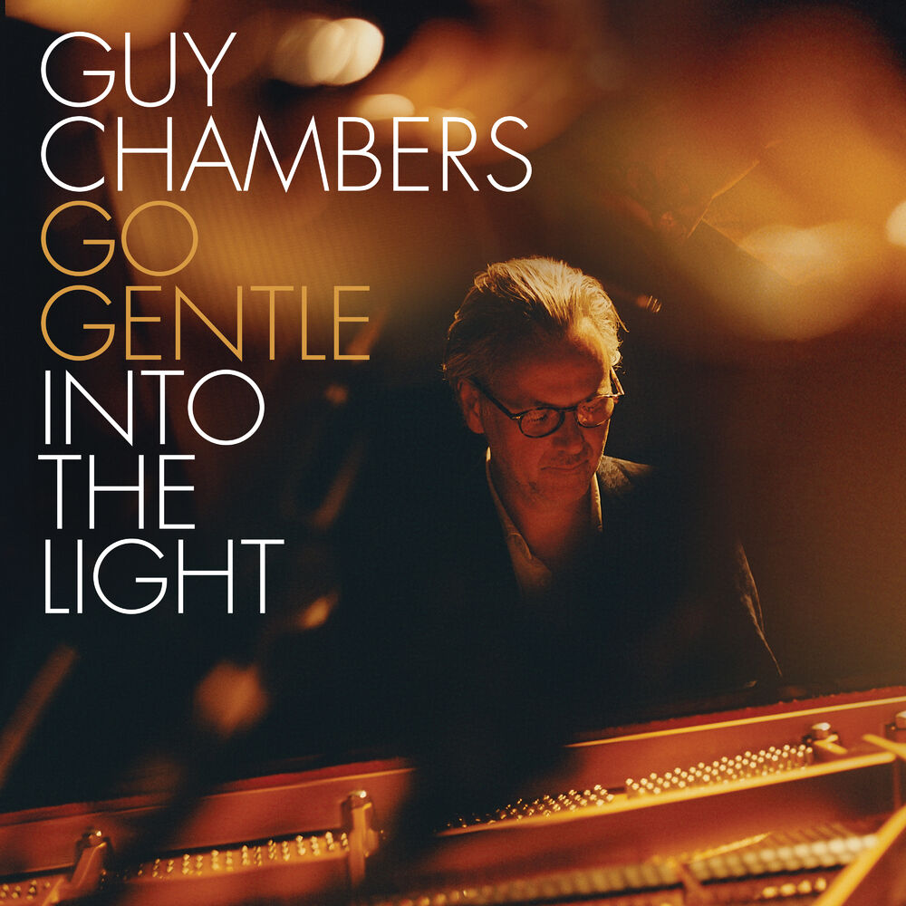 Picture of Go Gentle into the Light