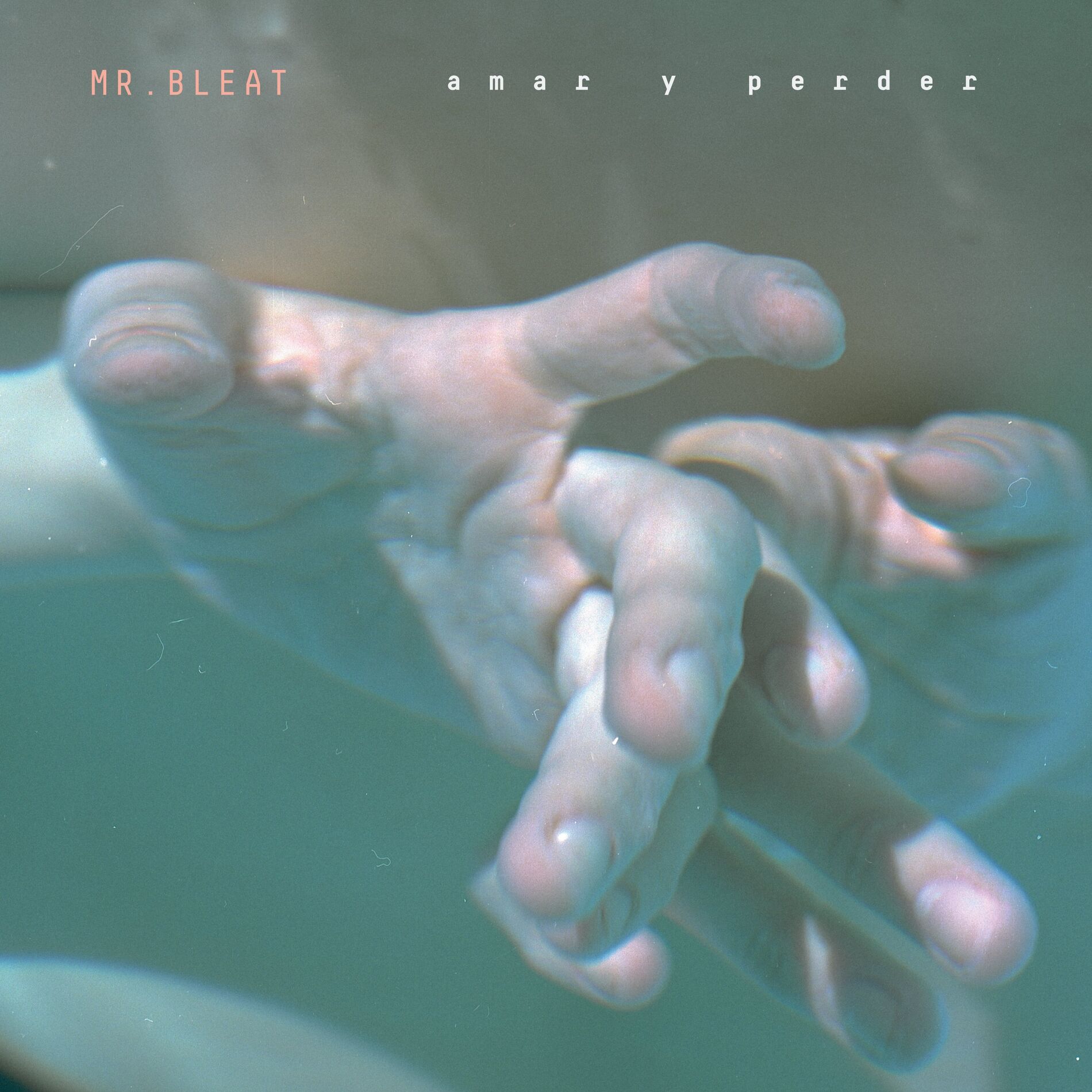 Album cover of Amar y Perder