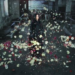 Cover of Mother
