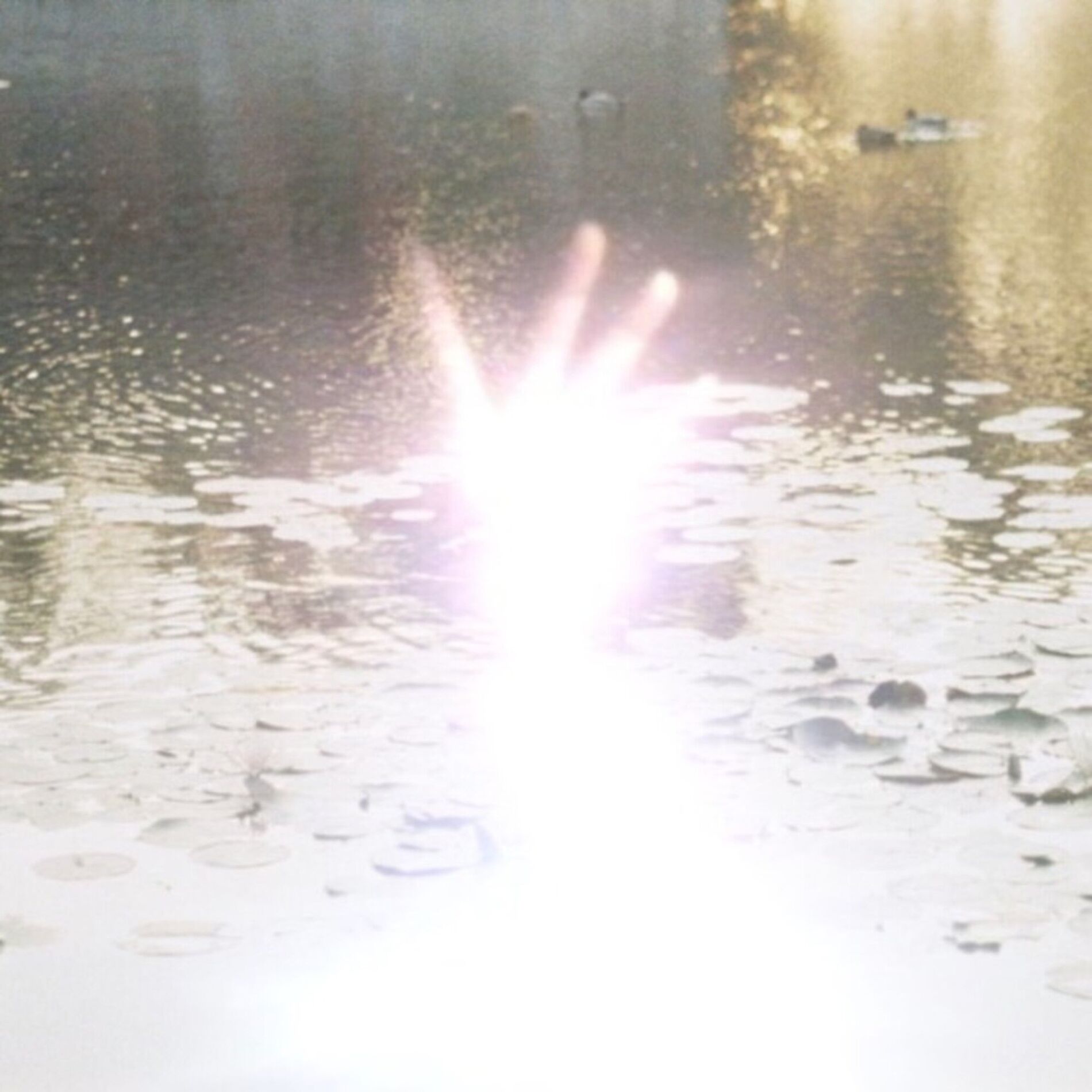 Album cover of fadeintou