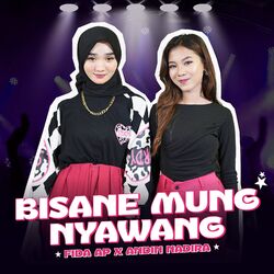 Cover of Bisane Mung Nyawang