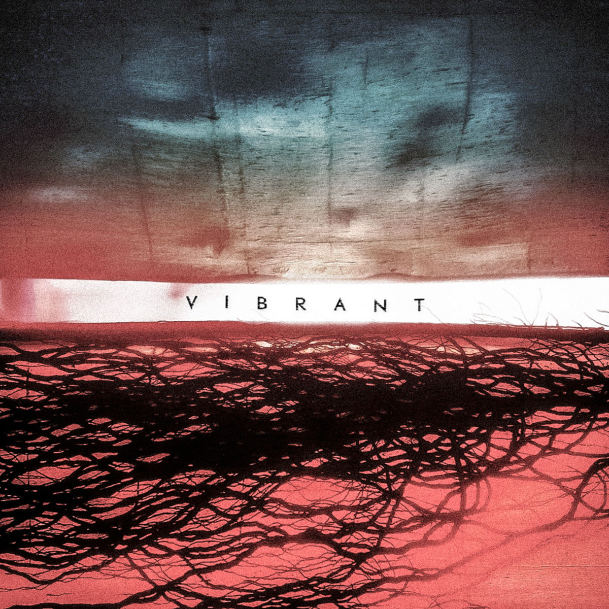 Album cover of Vibrant