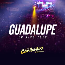 Concierto en Guadalupe (En vivo)