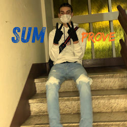 SUM 2 PROVE