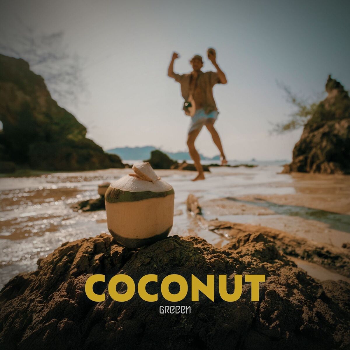 Album cover of Coconut
