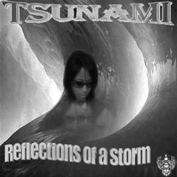 Cover of Reflections of A Storm