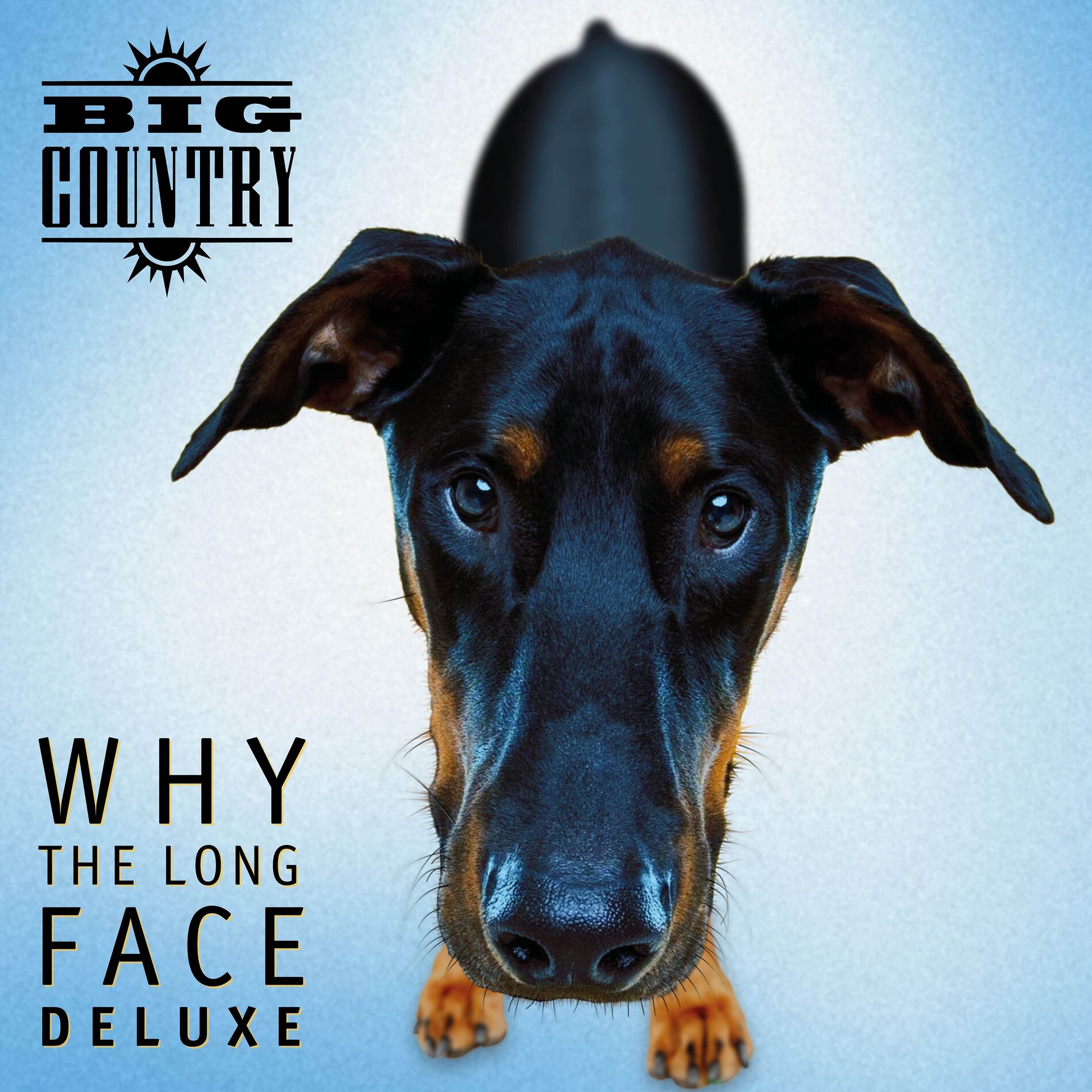 Album cover of Why the Long Face (Deluxe)