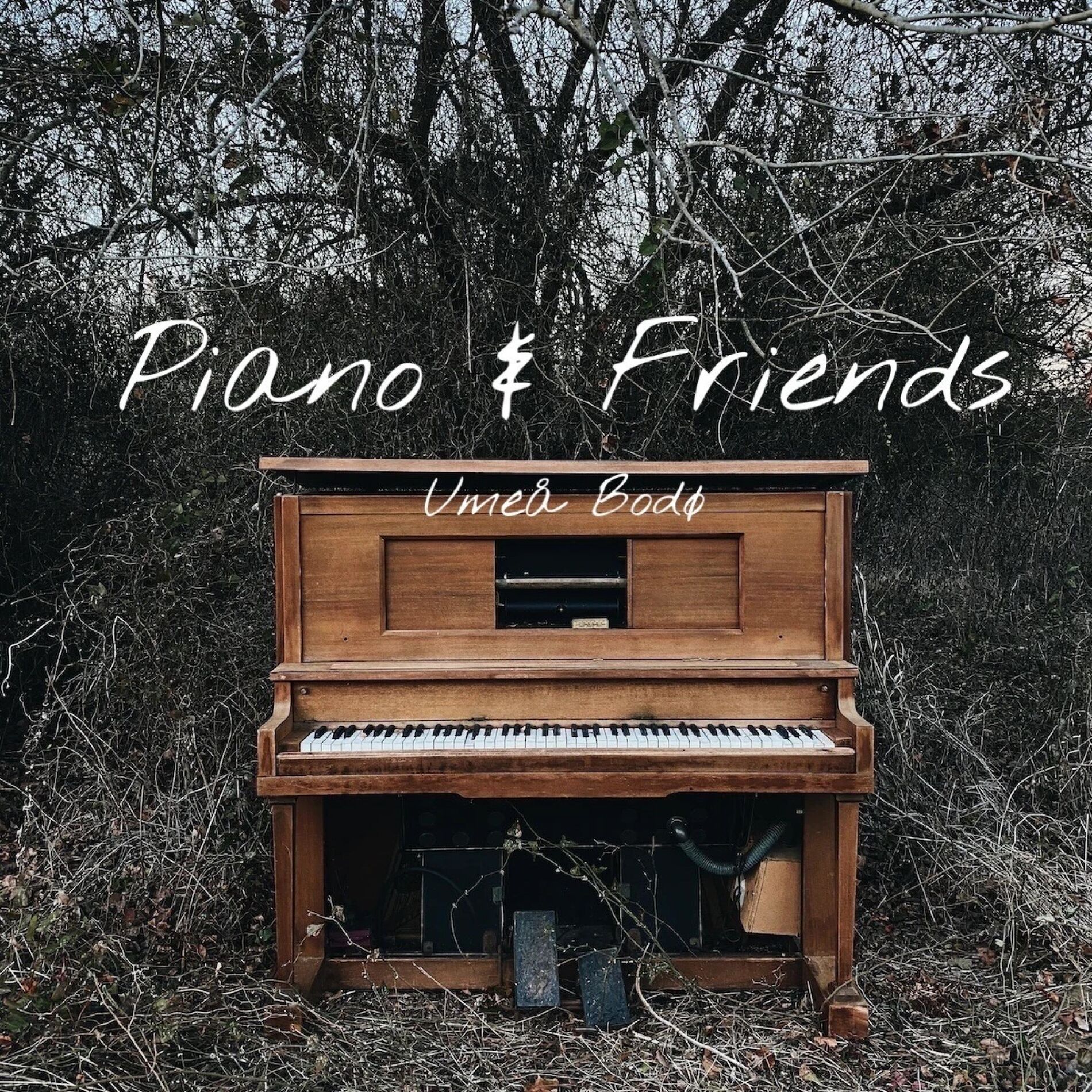 Album cover of Piano & Friends
