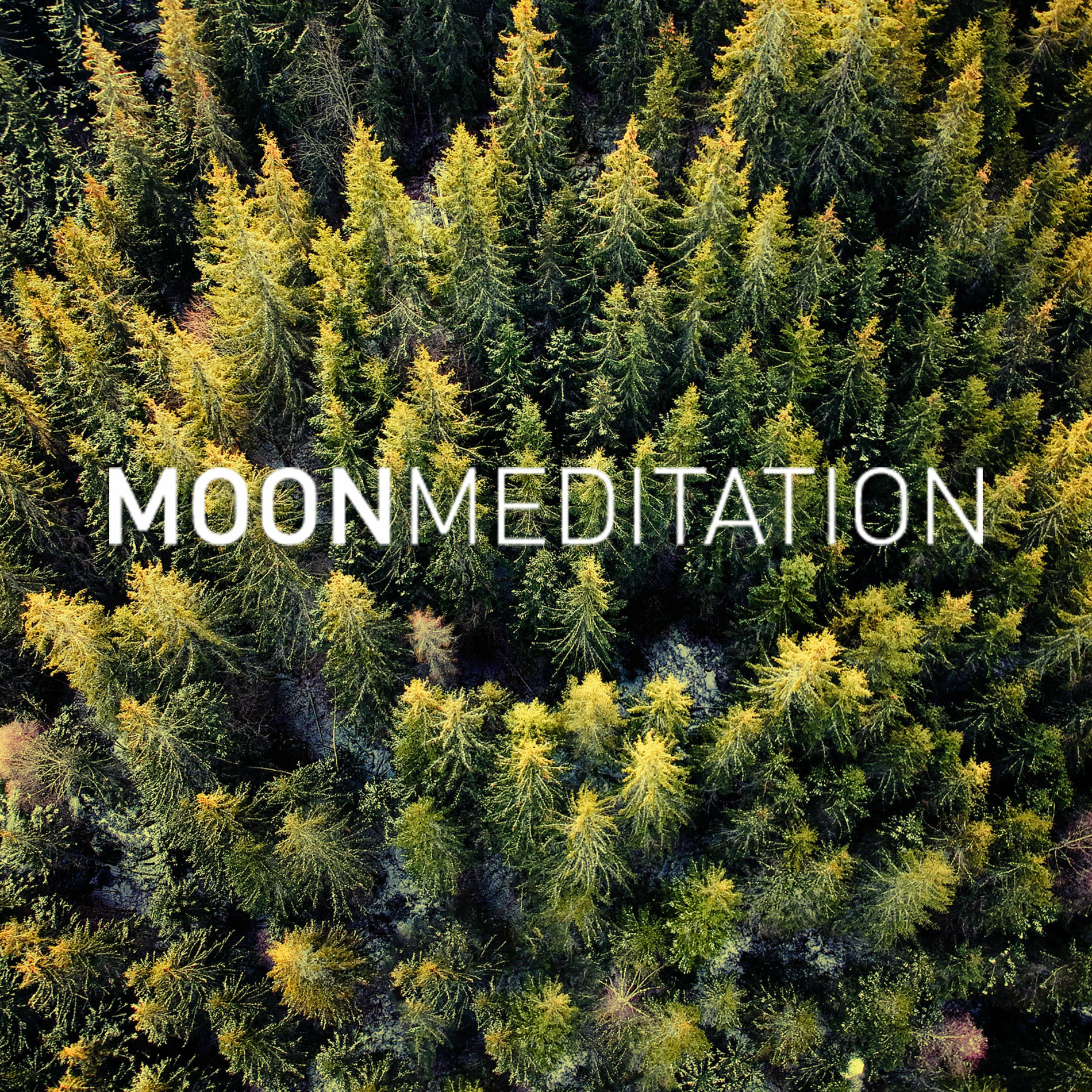 Album cover of Dreamland Melodies