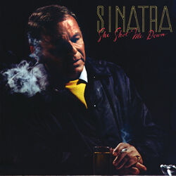 Cover of She Shot Me Down