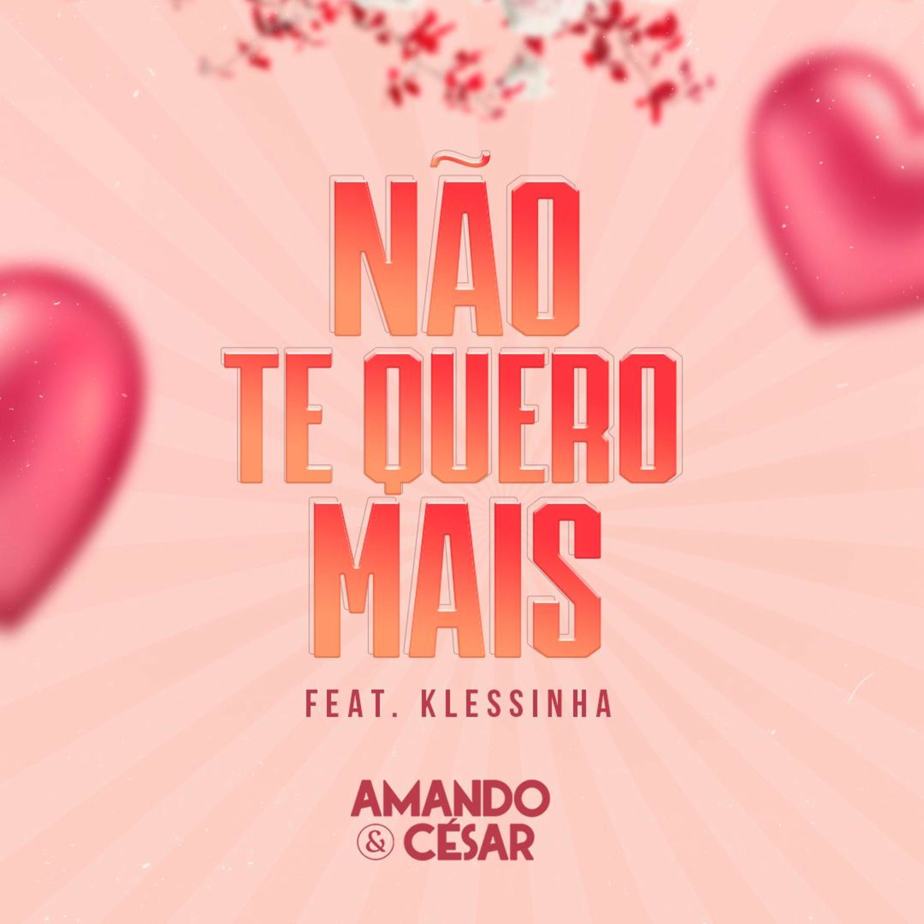 Album cover of Não Te Quero Mais