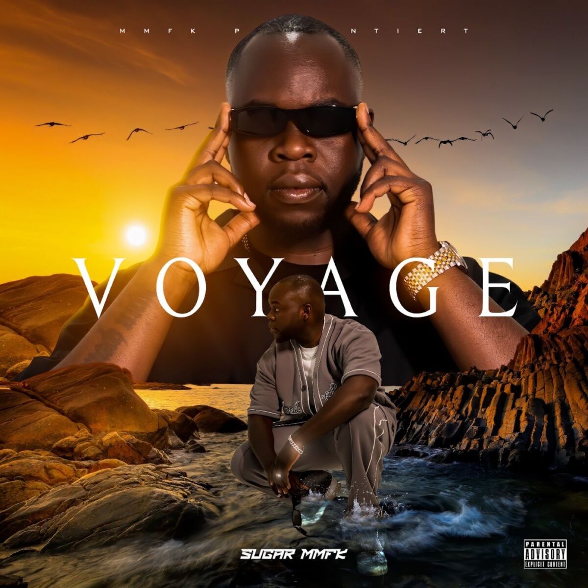 Album cover of Voyage