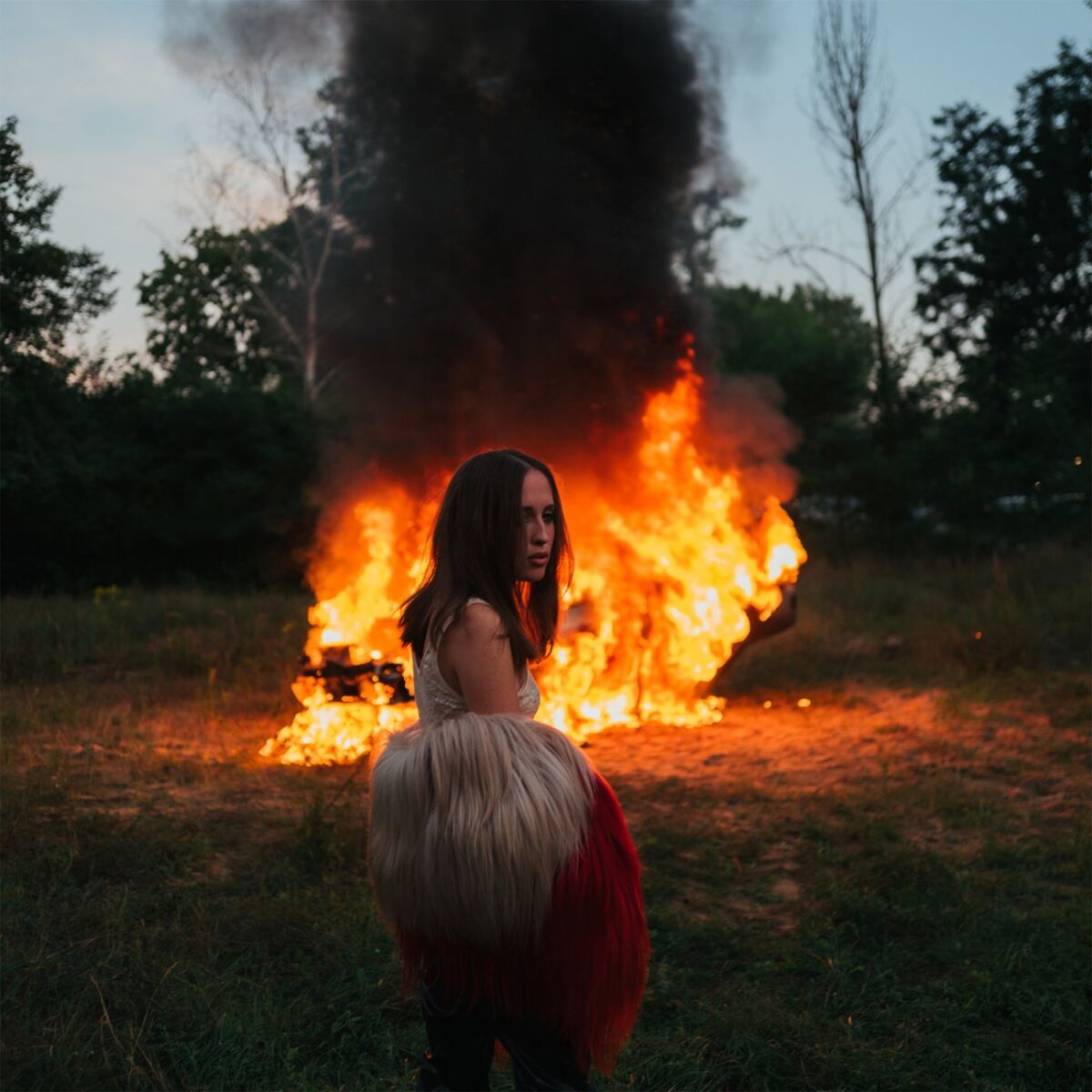 Album cover of Island