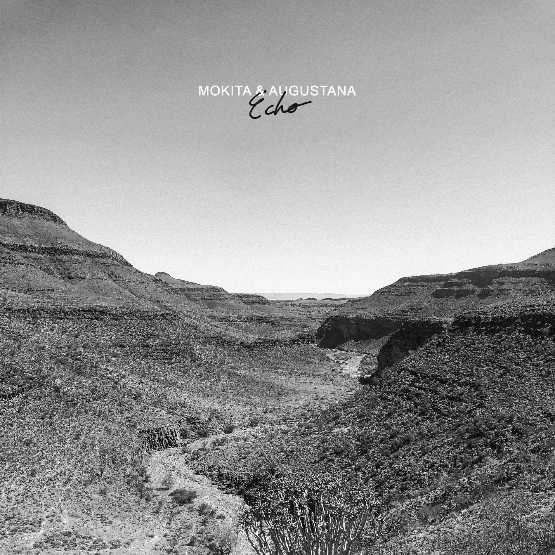 Album cover of Echo